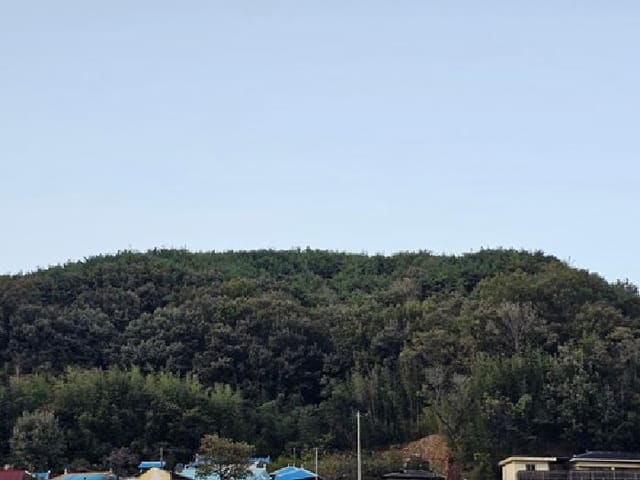 B000421202501300312114.jpg