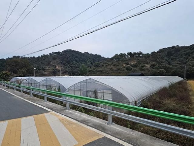 B000421202501300312263.jpg