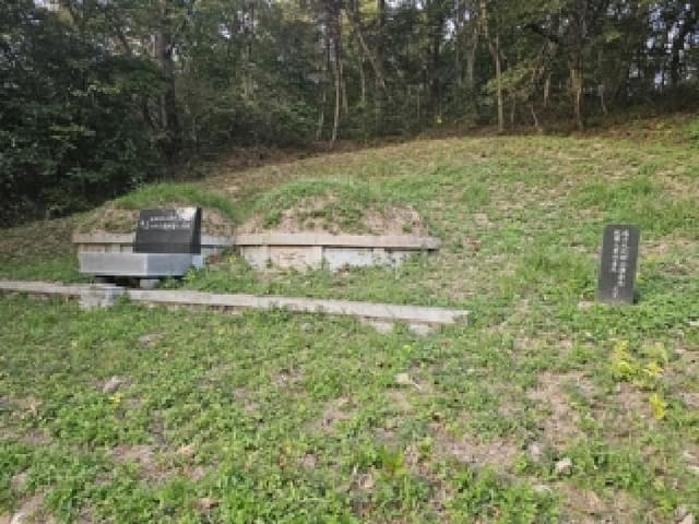 B000421202501300312301.jpg