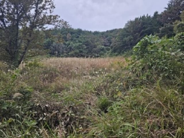 B000421202501300312311.jpg