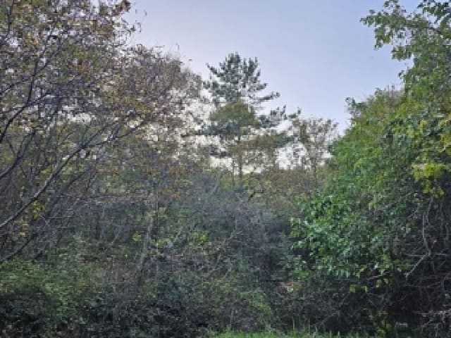 B000421202501300312452.jpg