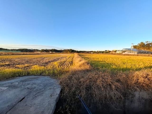B000421202501300312962.jpg