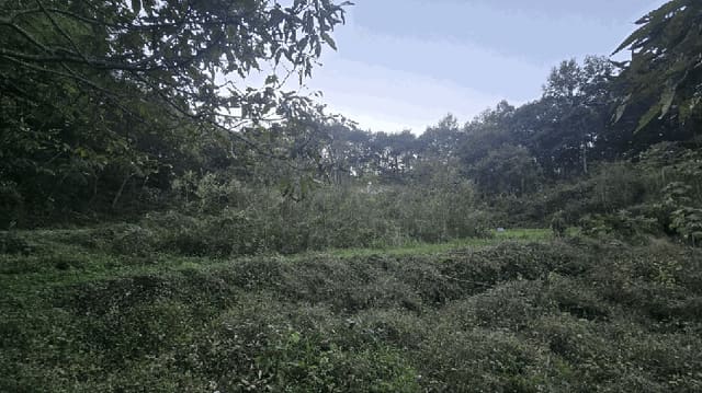 B000421202501300312983.jpg
