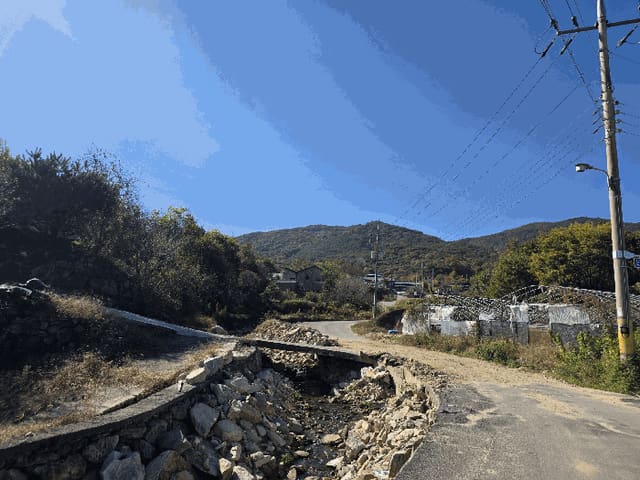 B000421202501300313024.jpg