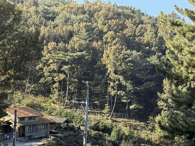 B000421202501300313054.jpg