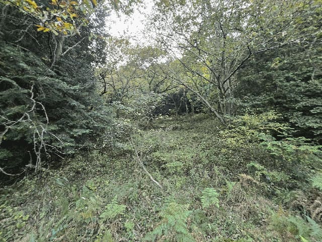 B000421202501300313218.jpg