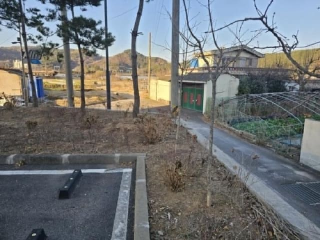 B000421202501300313314.jpg