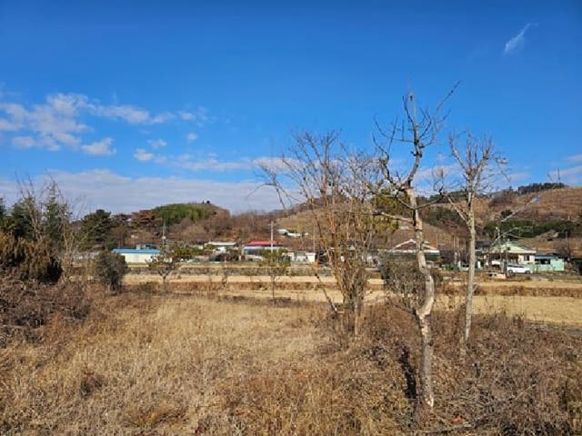 B000421202501300313522.jpg