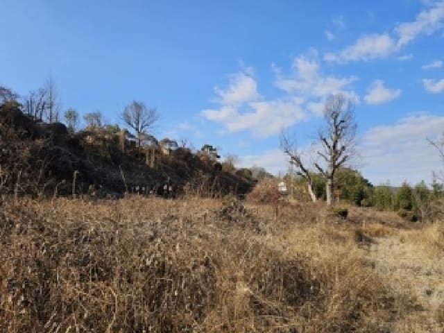 B000421202501300313523.jpg