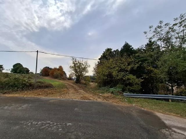B000421202501300313693.jpg