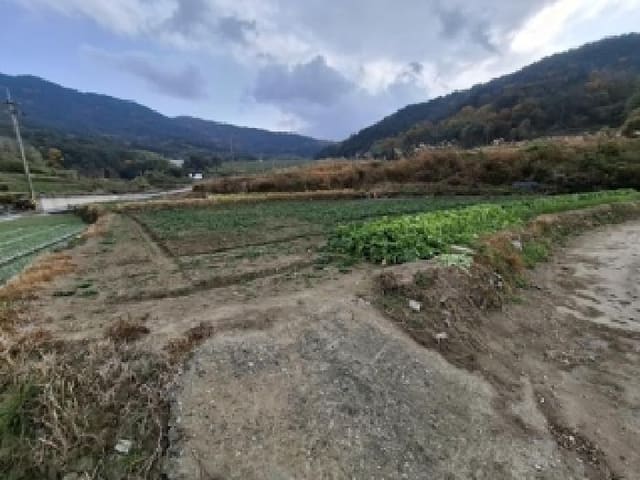 B000421202501300313703.jpg