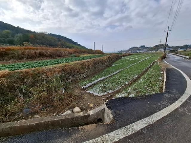 B000421202501300313702.jpg