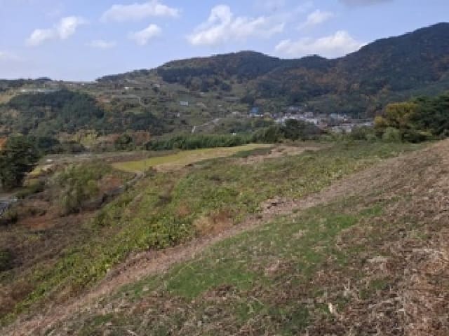 B000421202501300313793.jpg