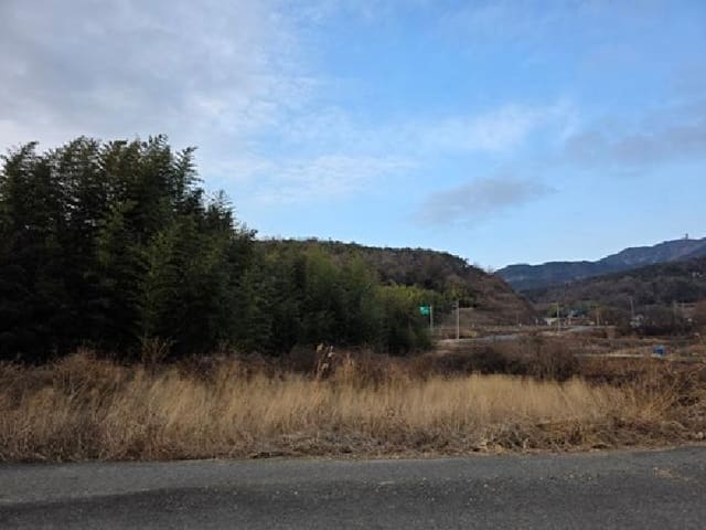 B000421202501300314051.jpg