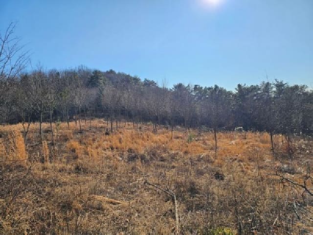 B000421202501300314154.jpg