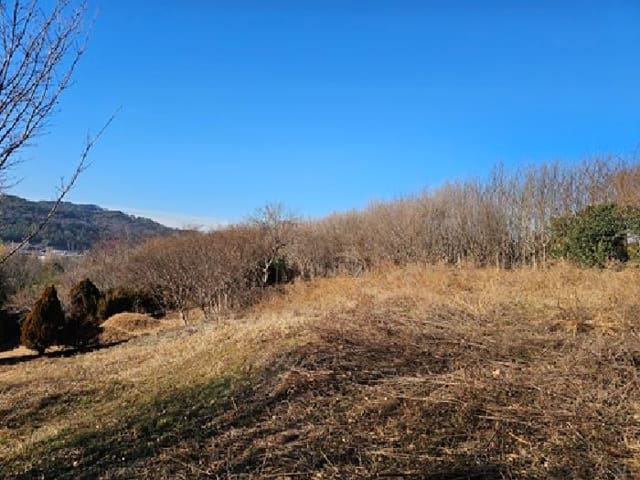 B000421202501300314151.jpg