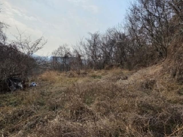 B000421202501300314383.jpg