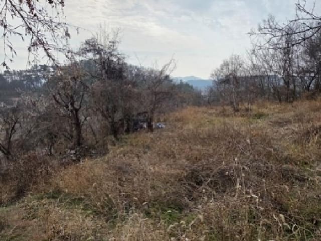 B000421202501300314384.jpg