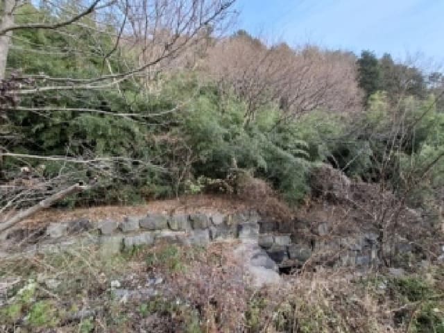 B000421202501300314404.jpg