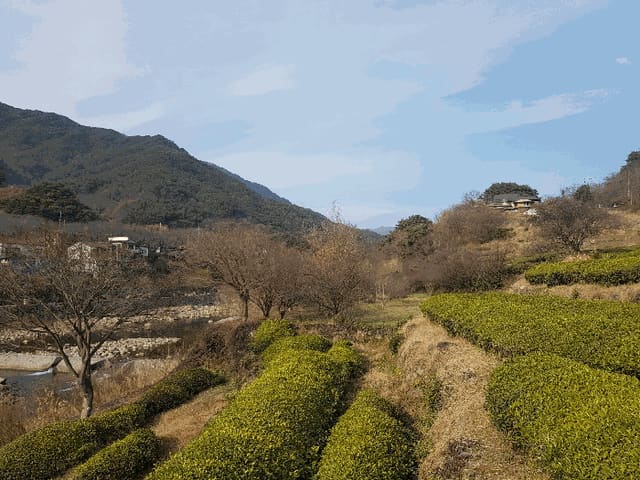 B000421202501300314574.jpg
