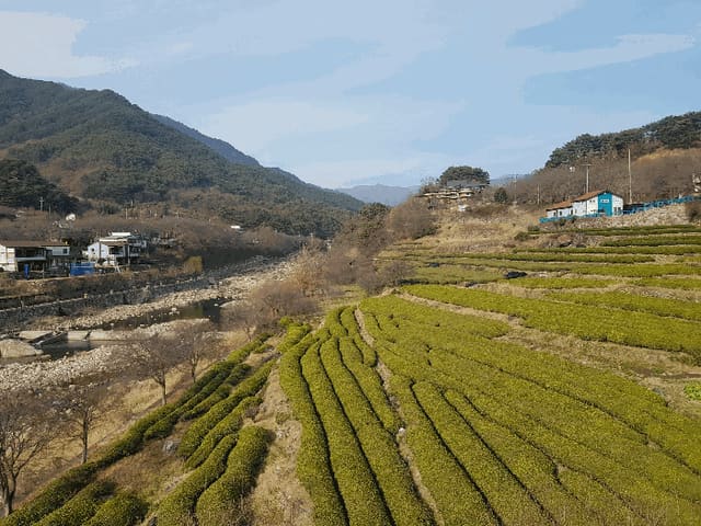 B000421202501300314573.jpg