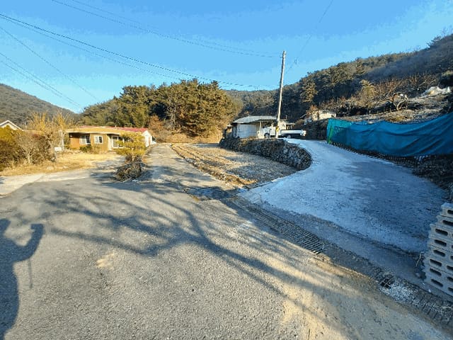 B000421202501300314784.jpg