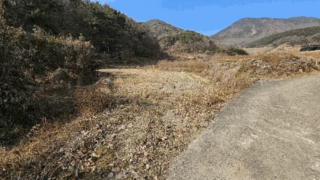 B000421202501300314934.jpg