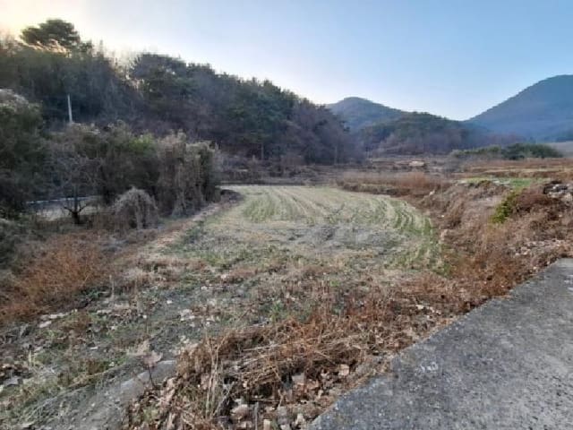 B000421202501300314931.jpg