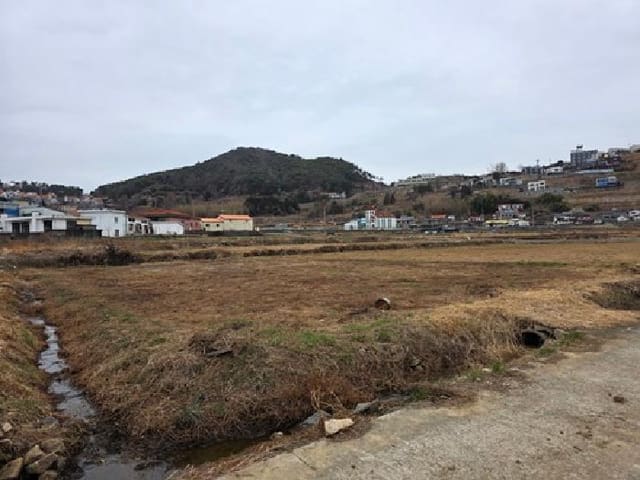 B000421202601300000141.jpg