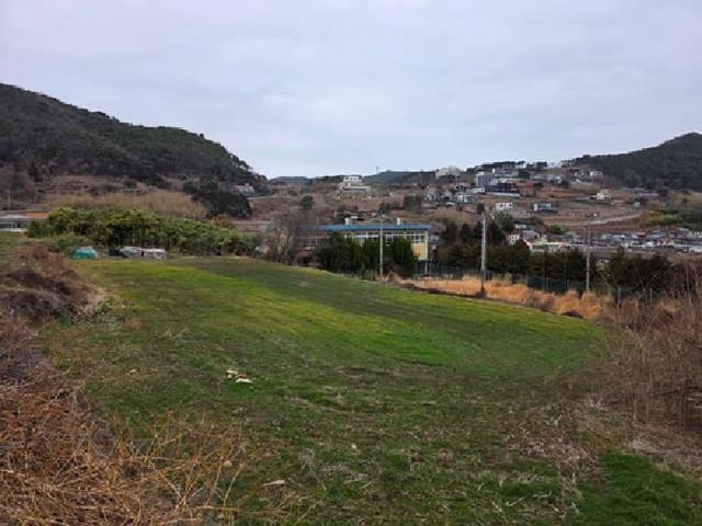 B000421202601300000142.jpg