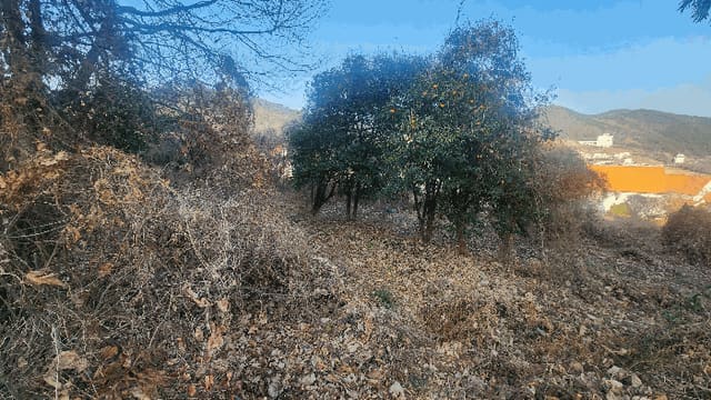 B0004212026013000001426.jpg