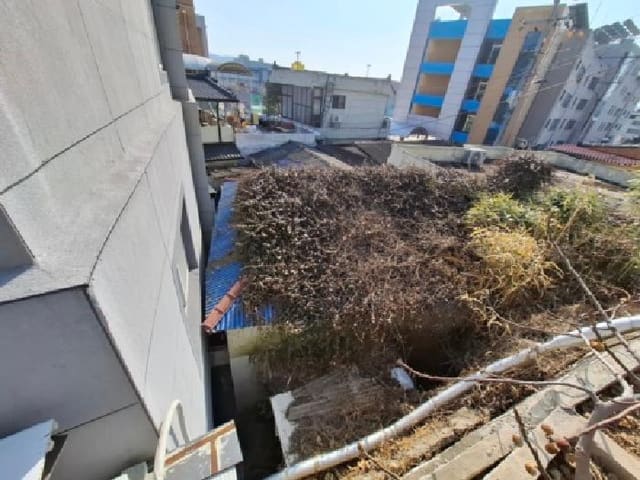 B000421202601300000293.jpg