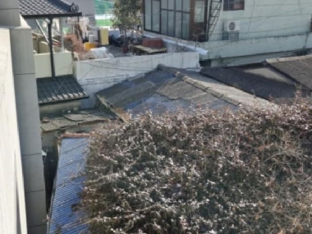 B000421202601300000292.jpg