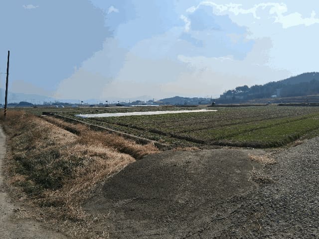 B000421202601300000406.jpg