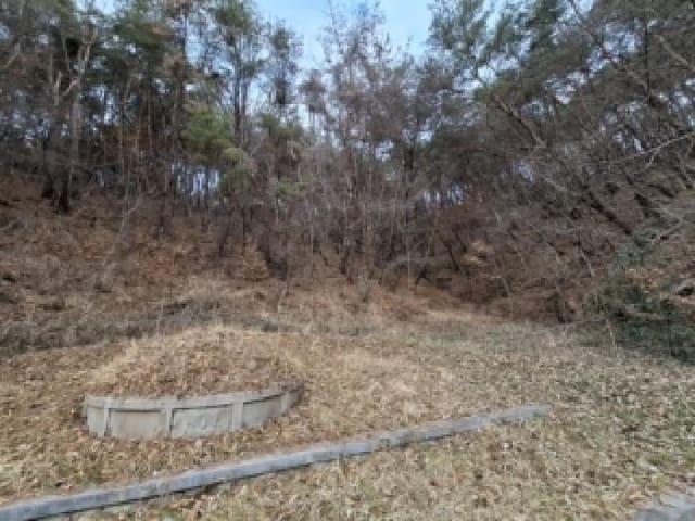 B000421202601300000751.jpg