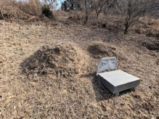 B0004212026013001000046.jpg