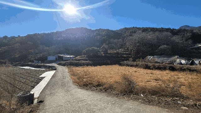 B000421202601300100154.jpg