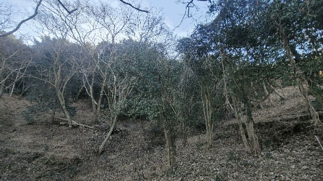 B000421202601300100155.jpg