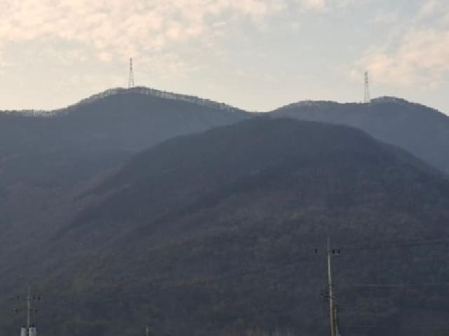 B000421202601300100471.jpg