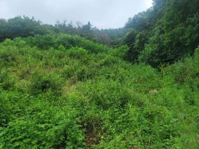 B000422202401300030864.jpg