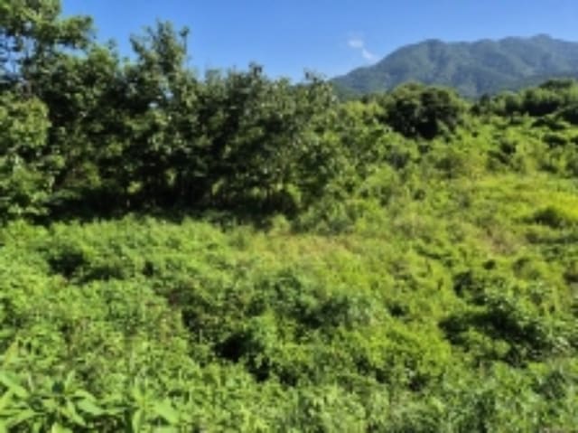 B000422202401300034822.jpg