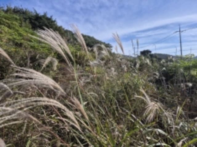 B000422202401300046213.jpg