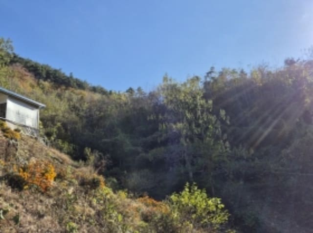 B000422202401300052283.jpg
