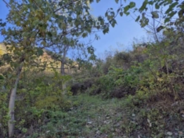 B000422202401300052281.jpg