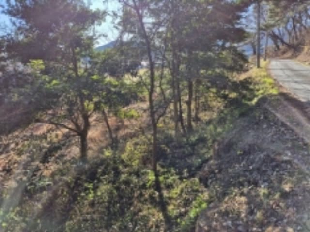 B000422202401300054023.jpg