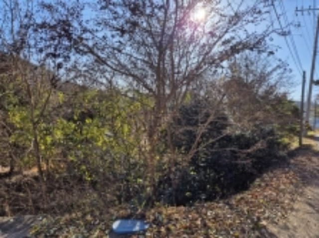 B000422202401300054021.jpg