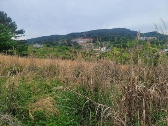 B000422202401300221001.jpg