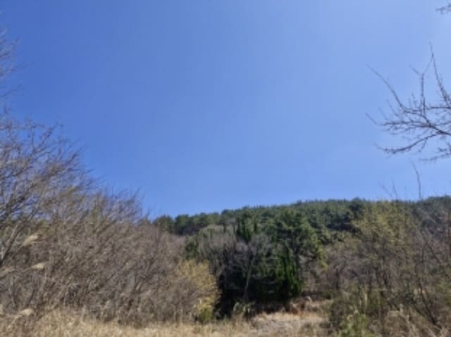 B000422202401300222164.jpg