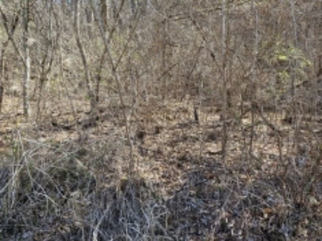 B000422202401300222162.jpg