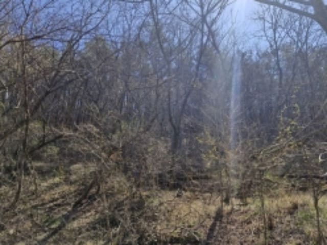 B000422202401300222161.jpg